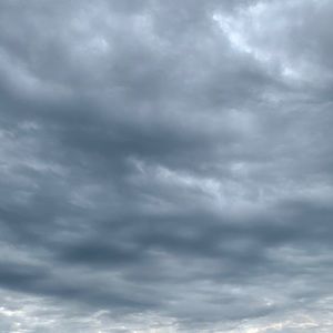 Meet your Posher, Riley